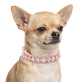 Load image into Gallery viewer, Belle Collar

