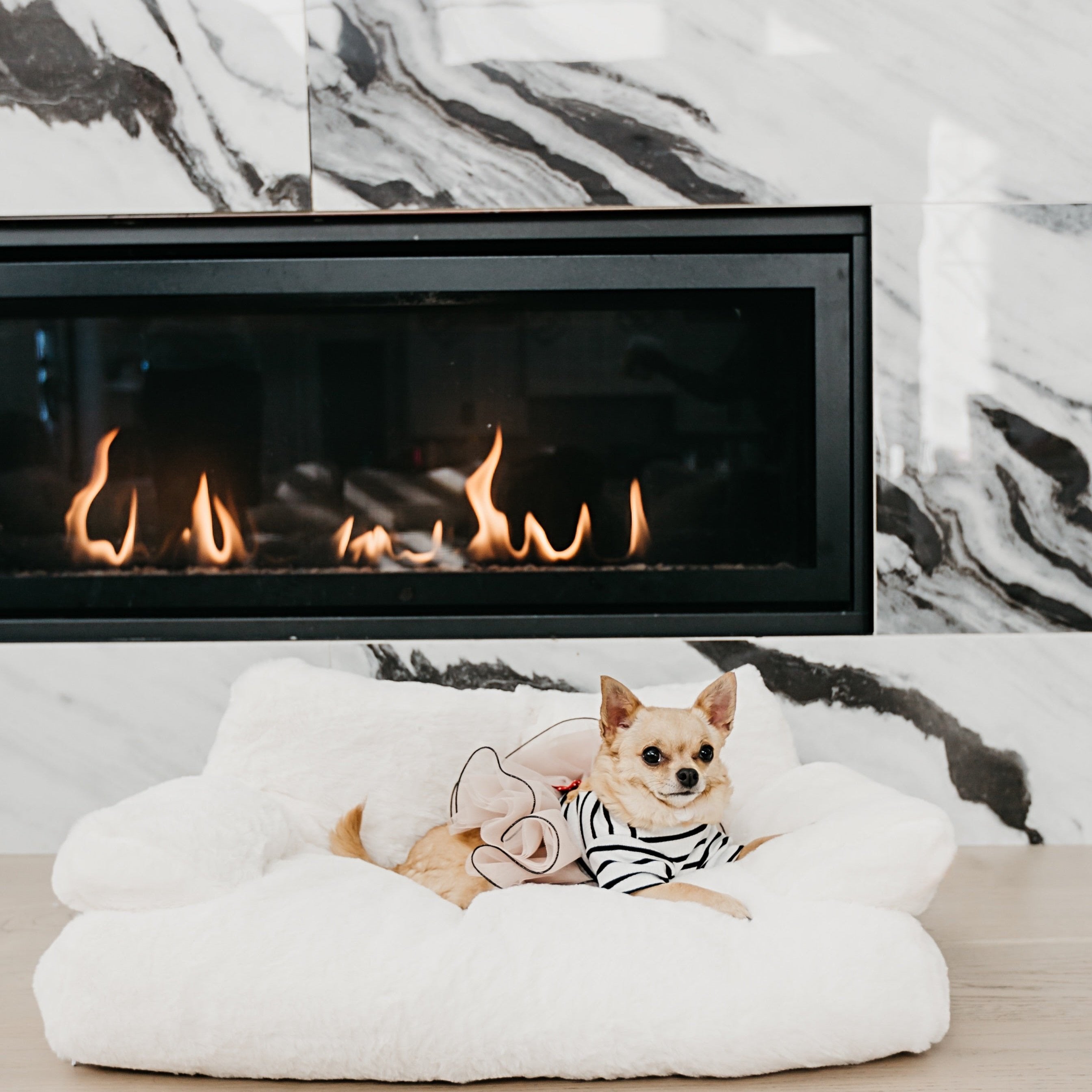 Cloud Couch