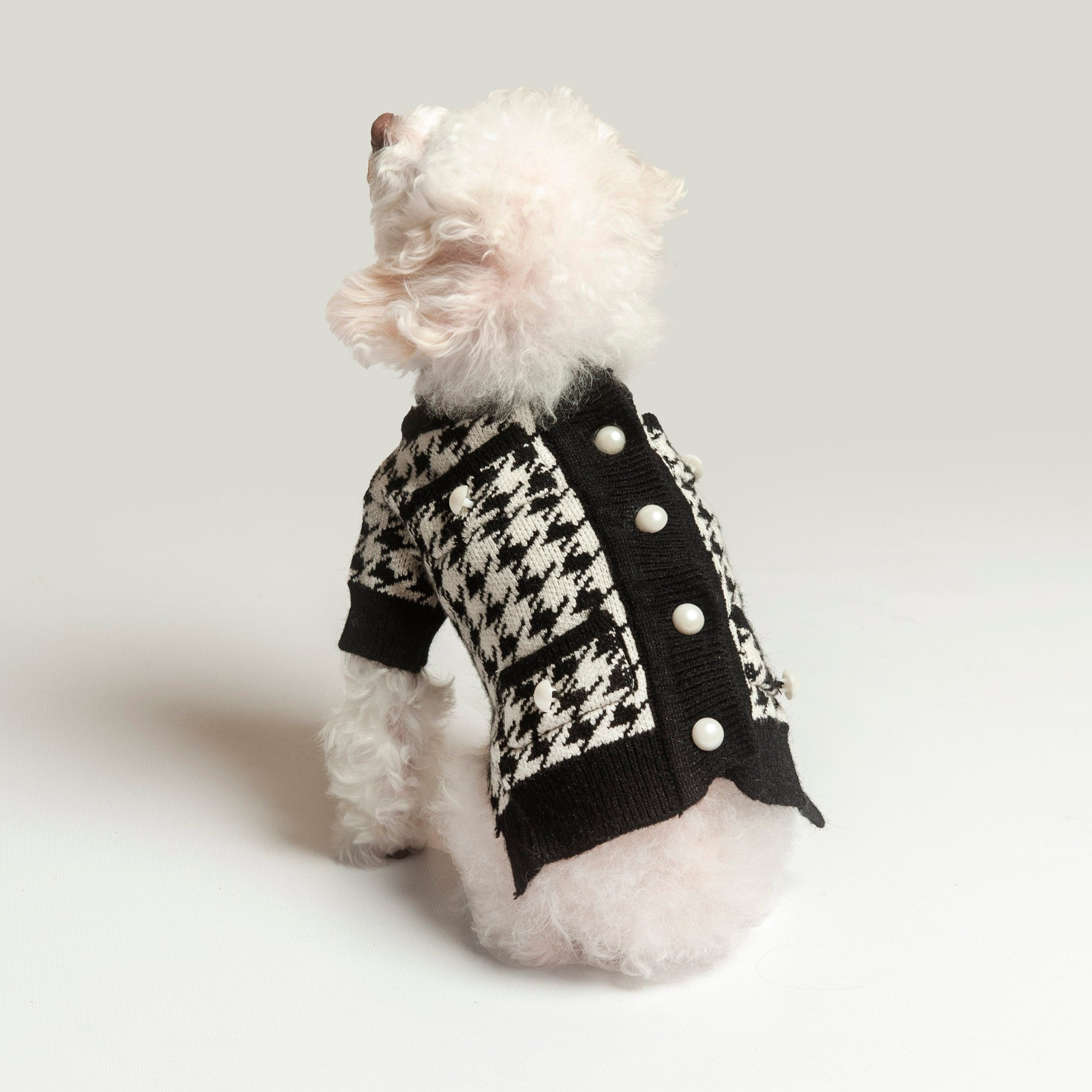 Posh Puppy Knit