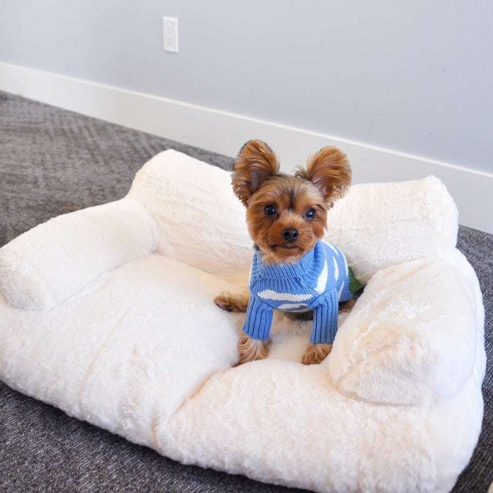 Cloud Couch