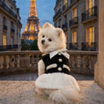 Load image into Gallery viewer, Coco Knit Dress
