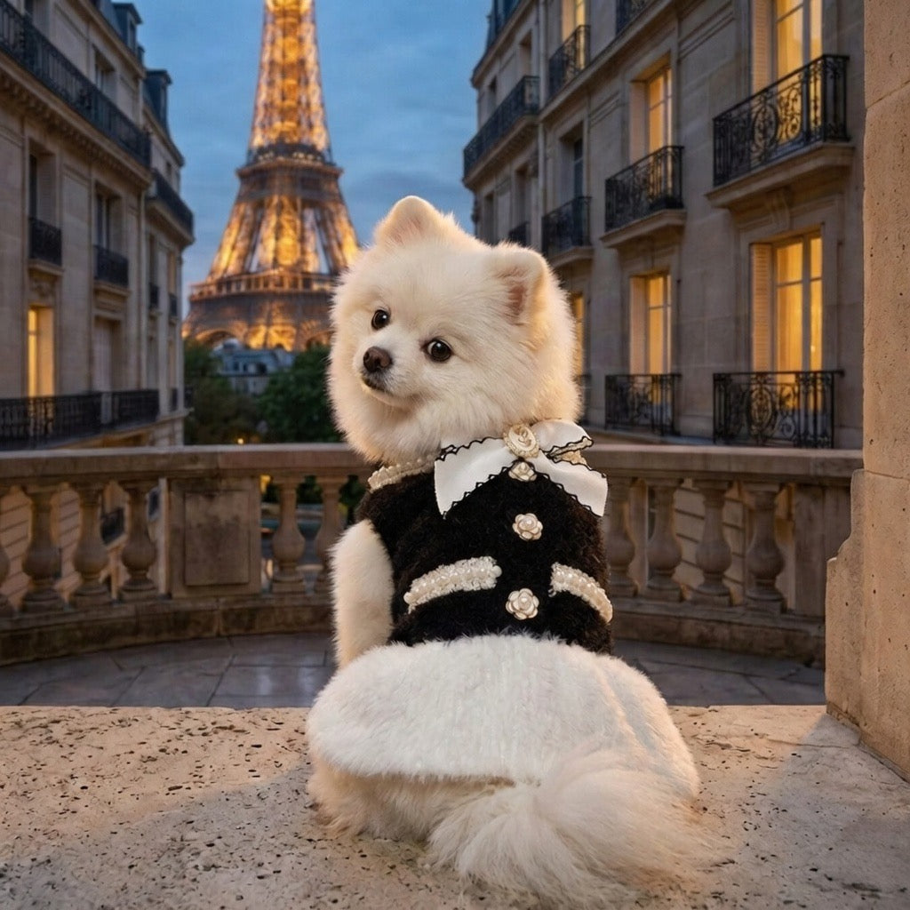 Coco Knit Dress