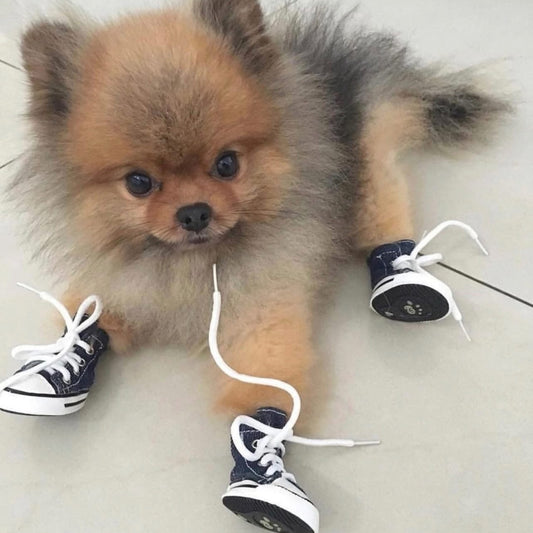 High Top Sneakers Blue
