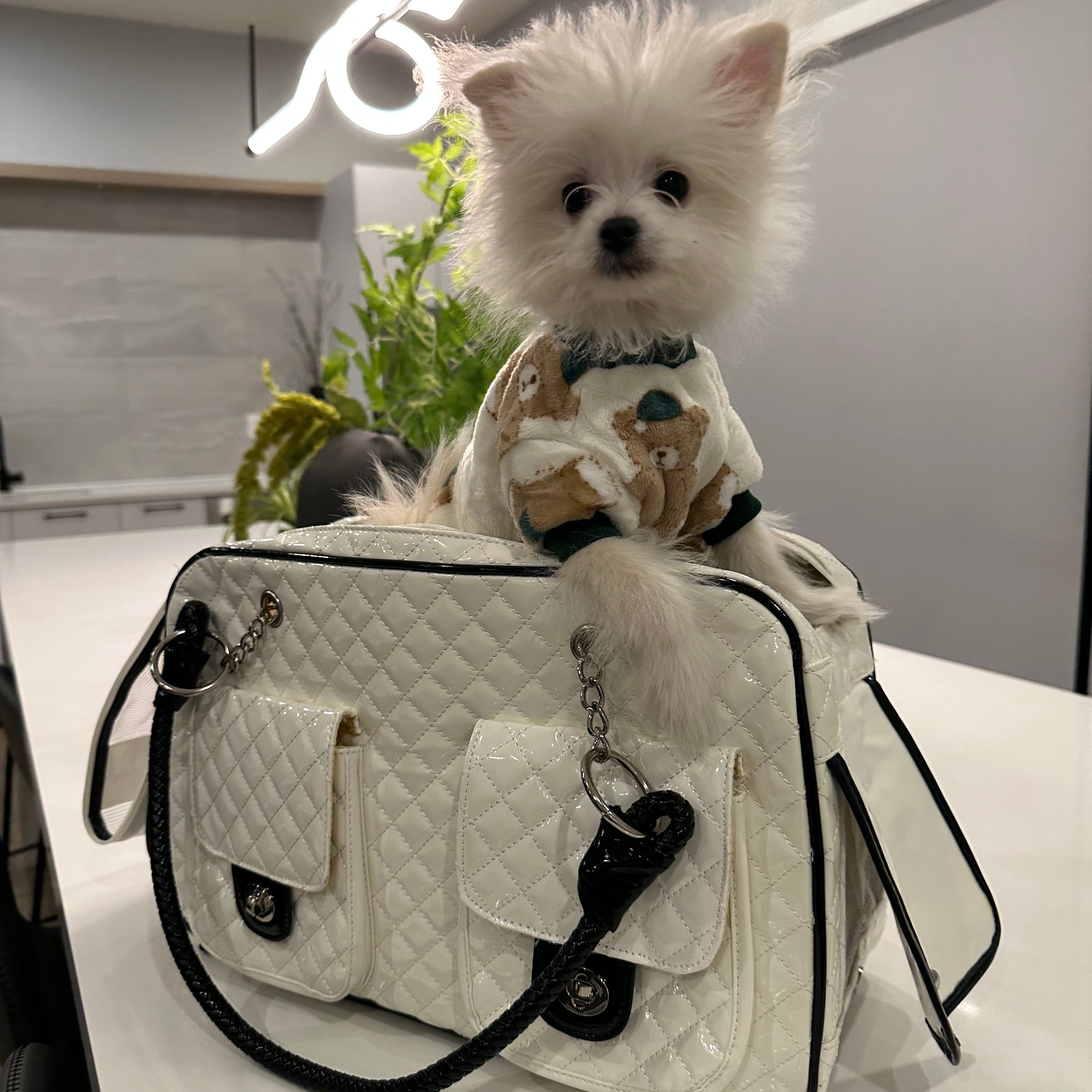 Furbaby Couture Coco Designer Pet Travel Bag Carrier