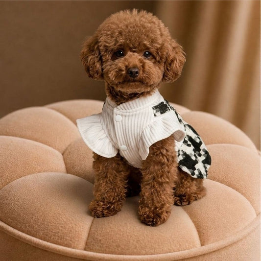 Posh Puppy Dress