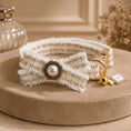 Load image into Gallery viewer, Coco Collar & Leash White
