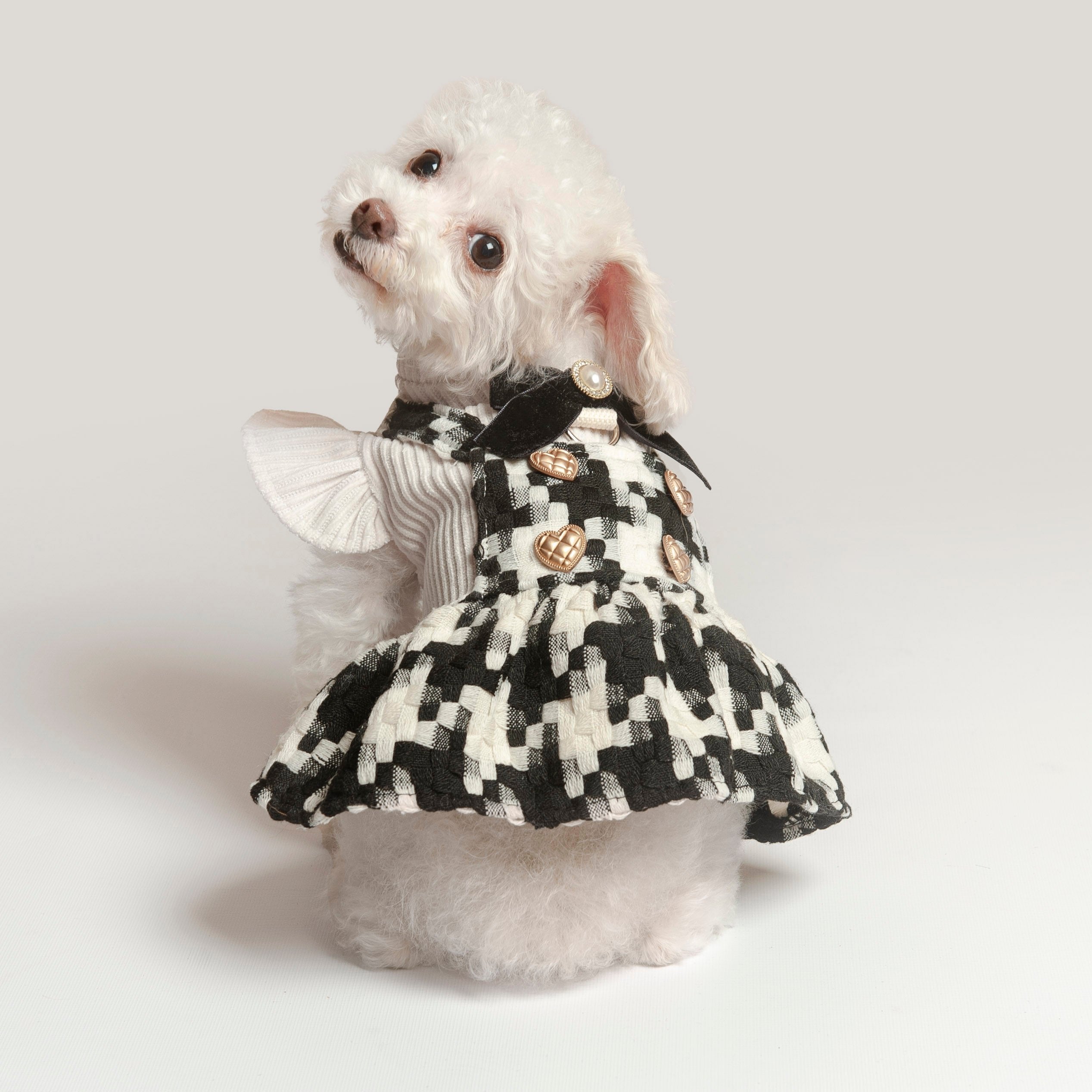 Posh Puppy Dress