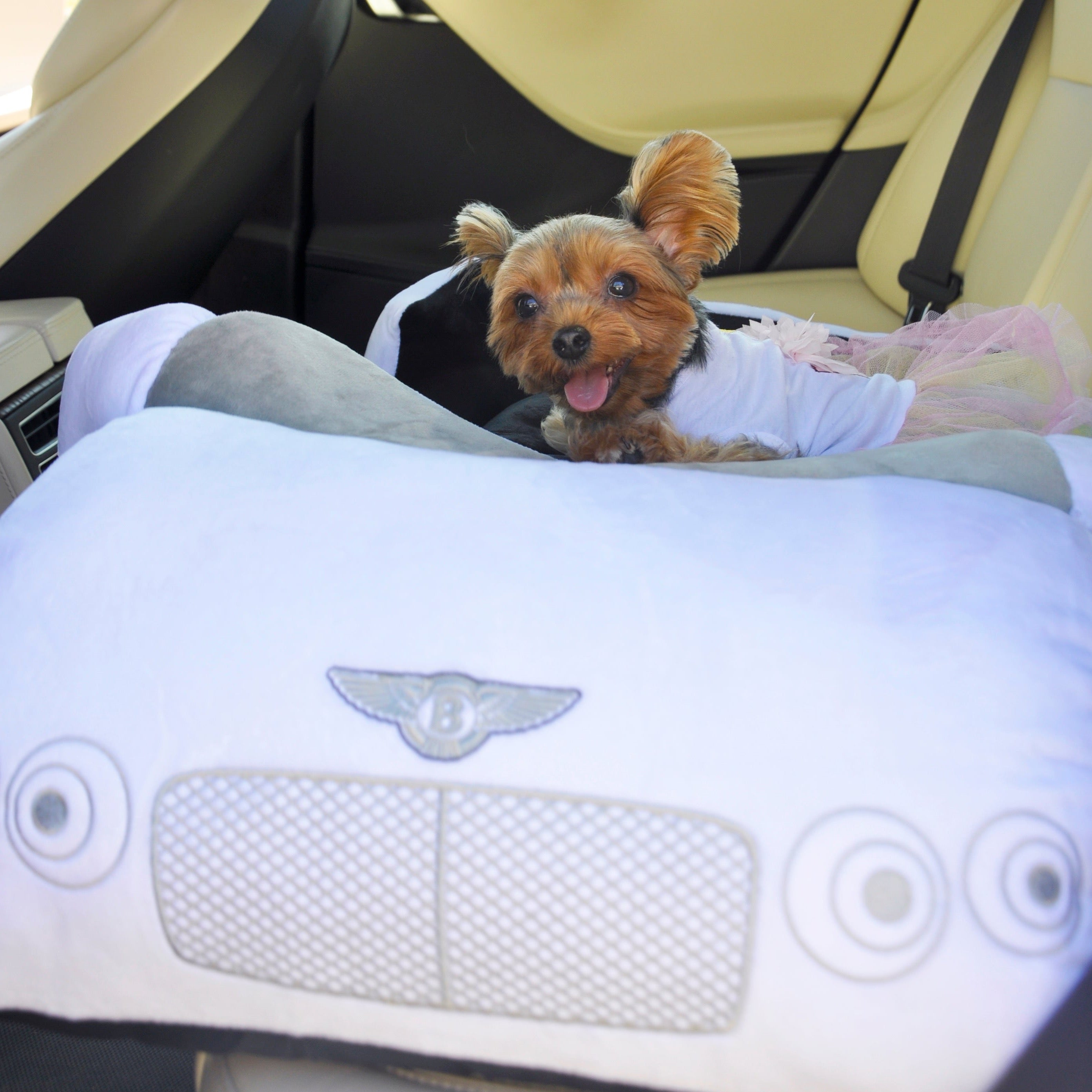 Bentley car 2025 dog bed