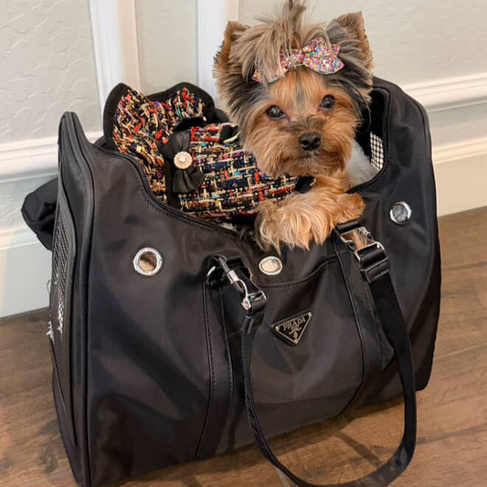 Pawda Carrier