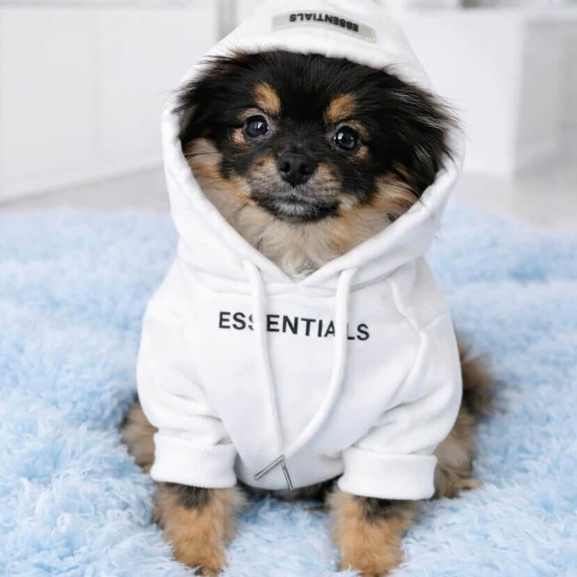 Essentials Hoodie
