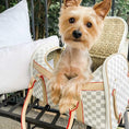 Load image into Gallery viewer, Jetsetter Carrier White

