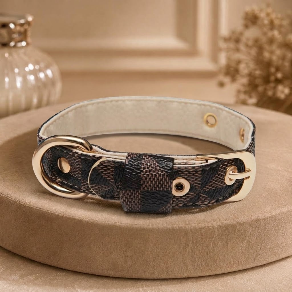 Signature Collar & Leash