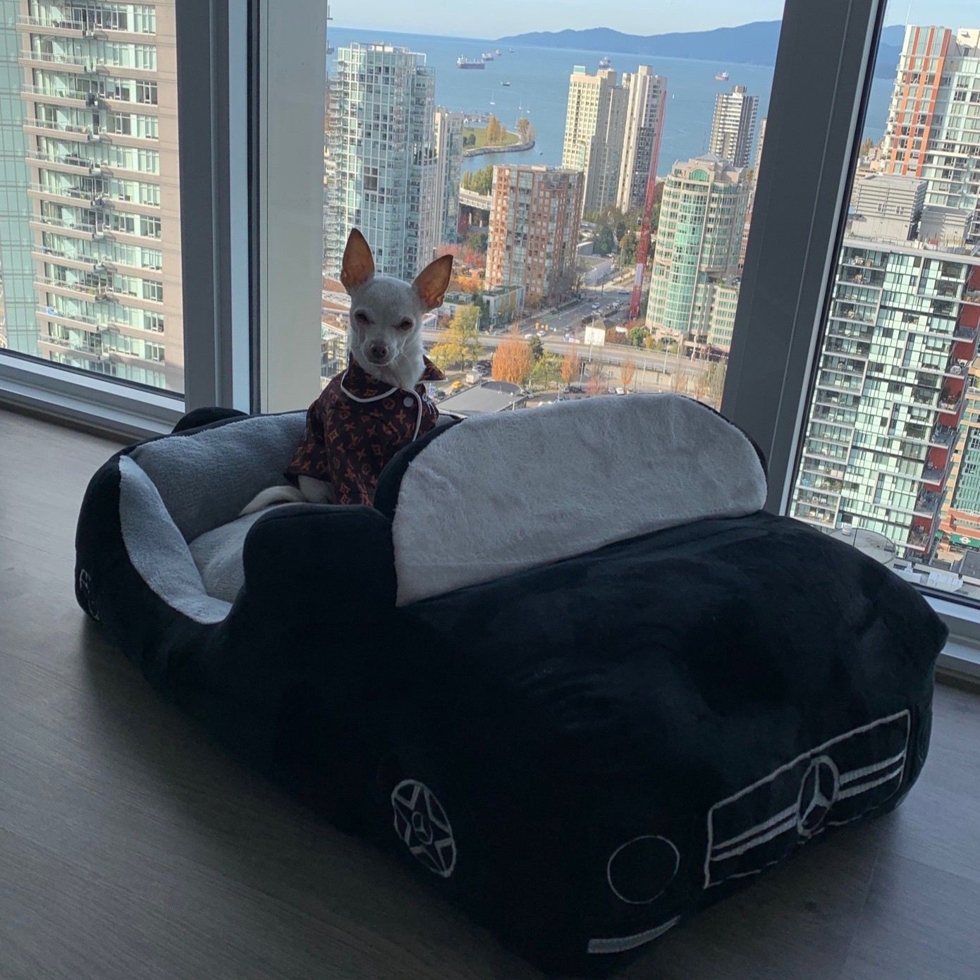 Custom Car Dog Bed