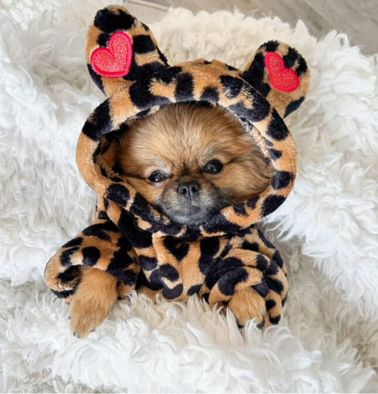 Furcheetah Hoodie