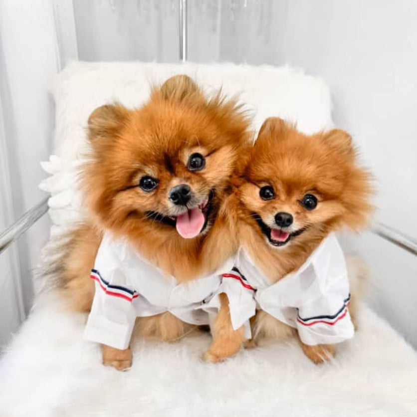 Winston Button Up