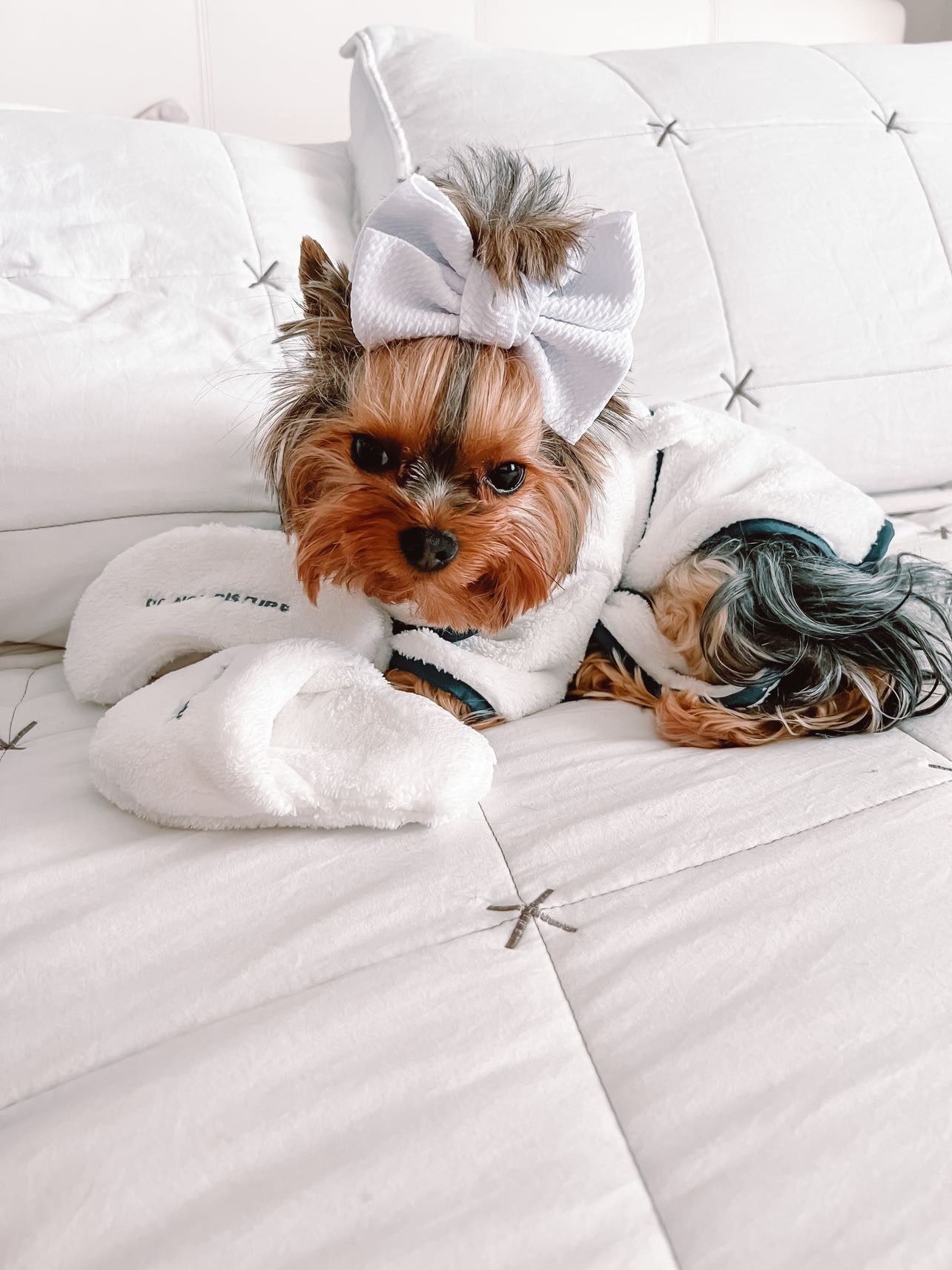Max Bathrobe