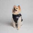 Load image into Gallery viewer, Dog Face Vest
