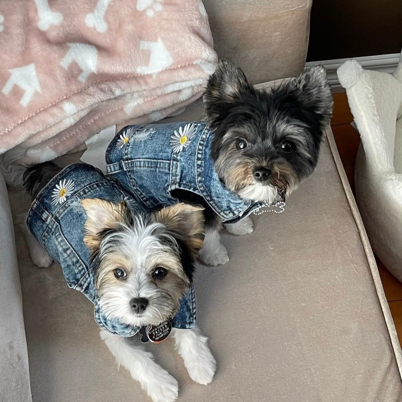 Daisy Jacket