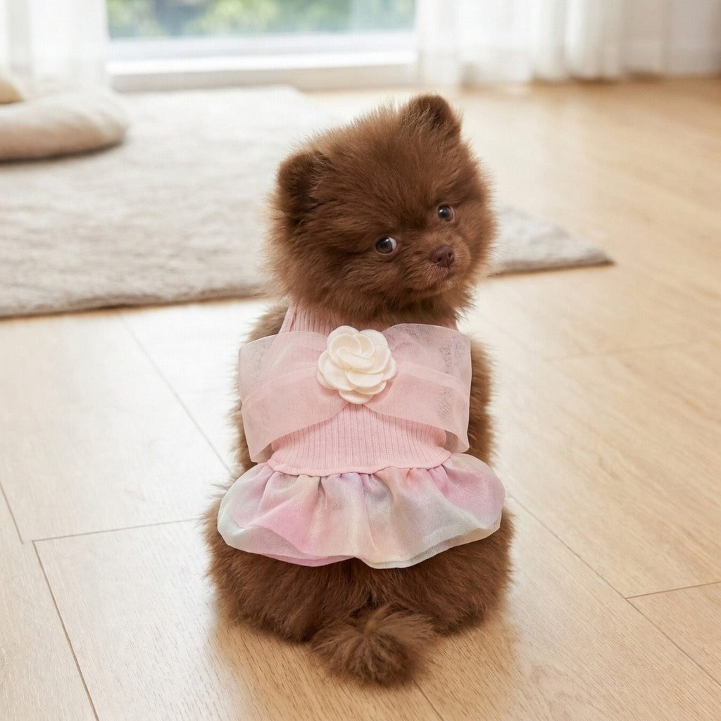 Rosie Sundress | Adorable Pink Dog Dress for Small Breeds
