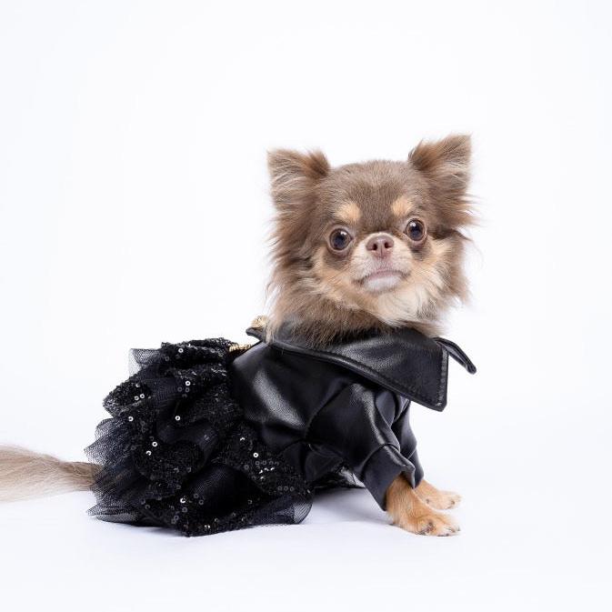 Posh Puppy Rockstar Dress