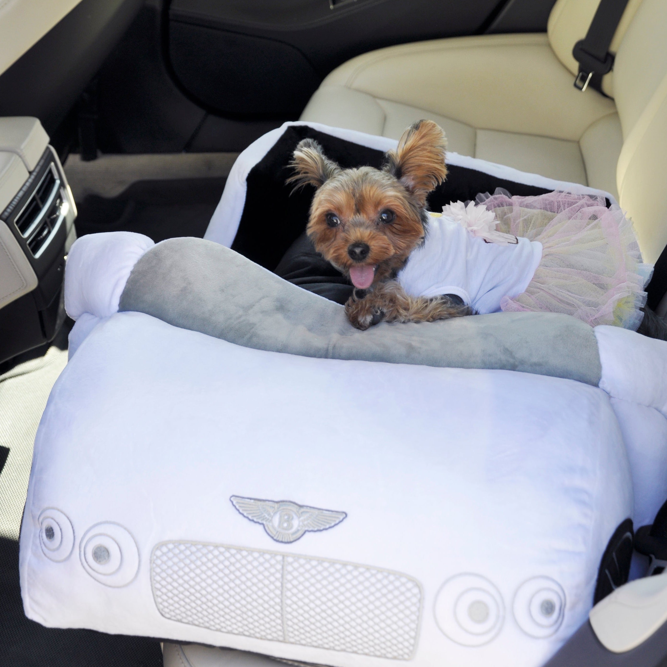 Custom Car Dog Bed