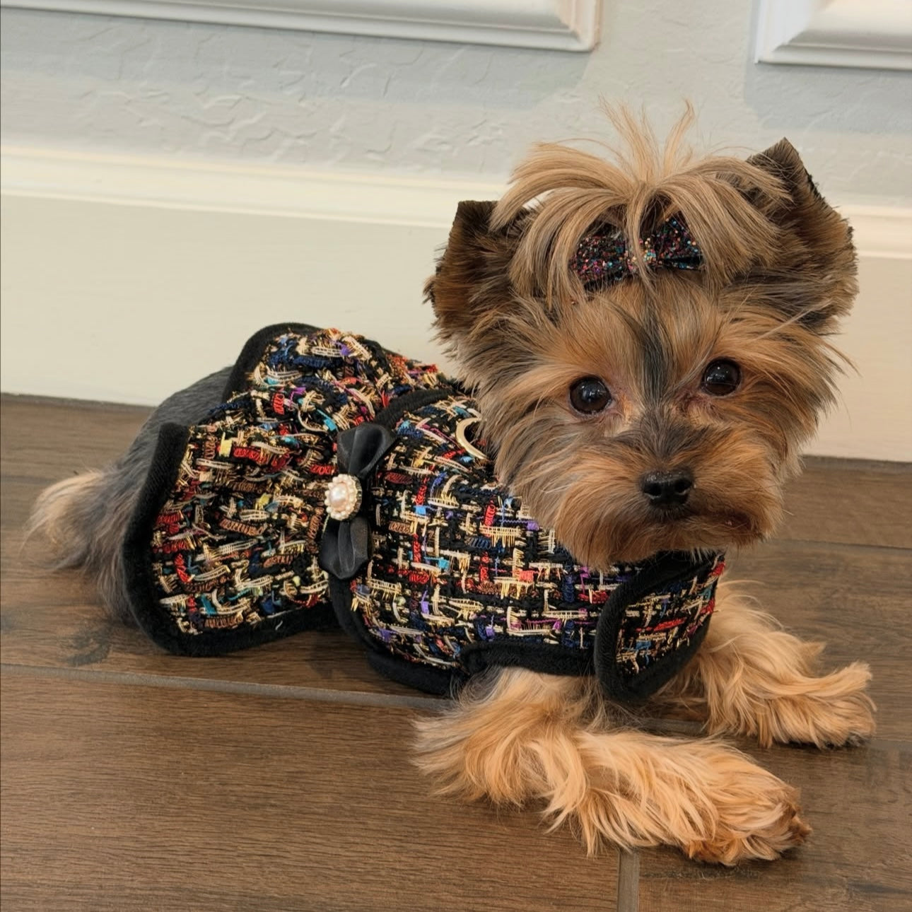 Beverly Harness