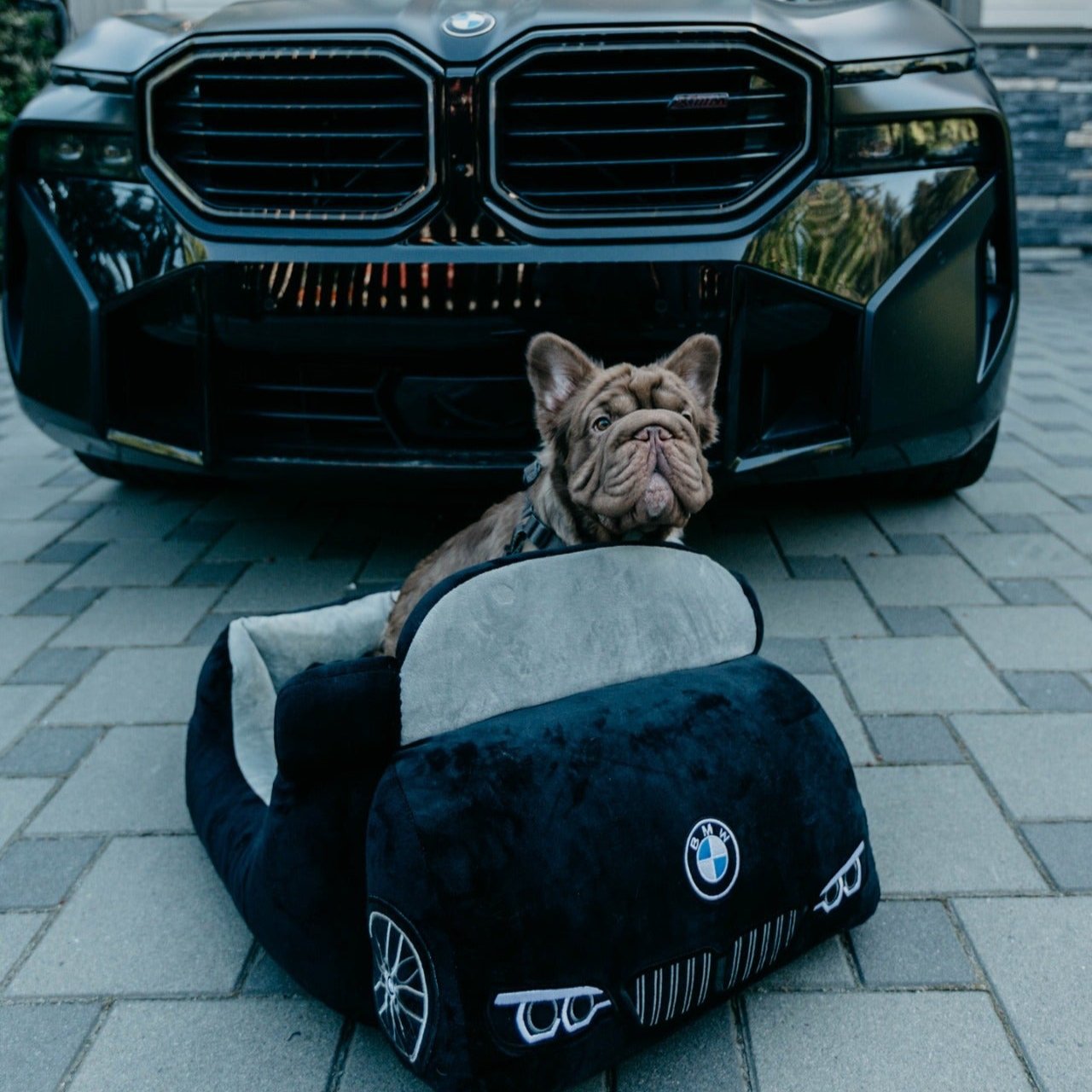 Custom Car Dog Bed