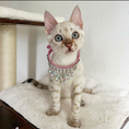 Load image into Gallery viewer, Royal Necklace
