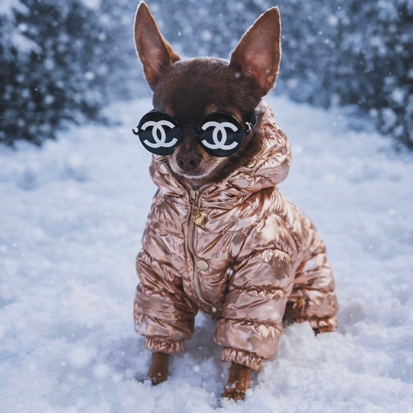 Aspen Onesie | Stylish Waterproof Pet Onesie for Winter | Furbaby