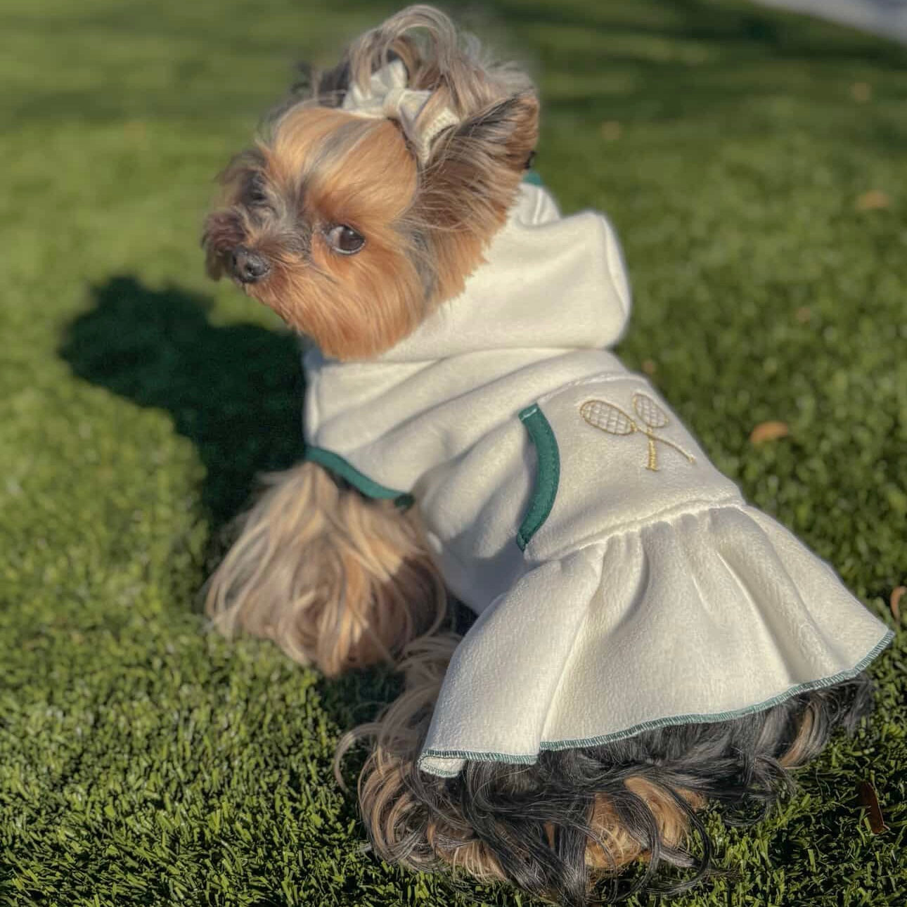 Sporty Pooch Dress
