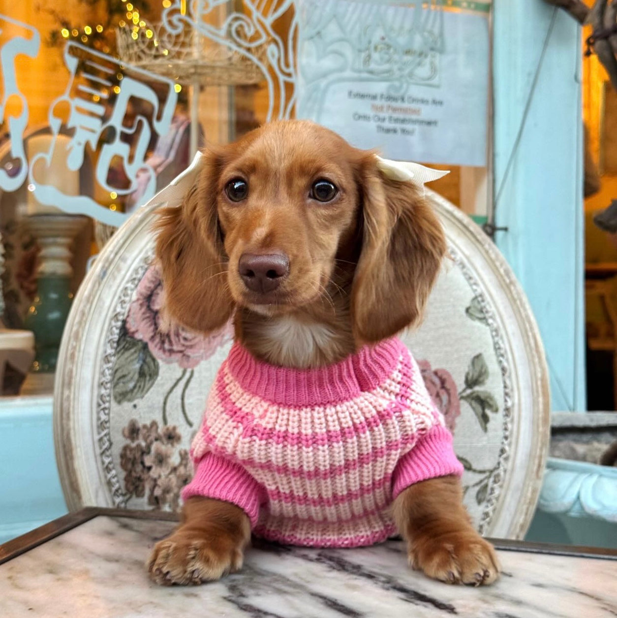 Paris Knit