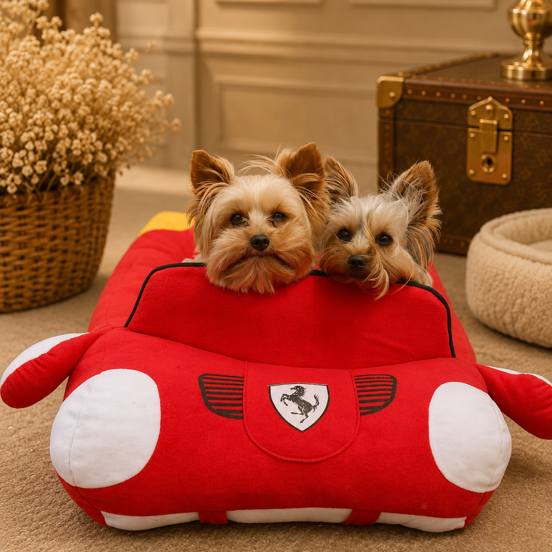 Two small dogs on a red car-shaped pet bed in a room with decorative elements.