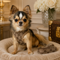 Load image into Gallery viewer, Good Dog Harness & Leash
