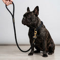 Load image into Gallery viewer, Furbaby Leash
