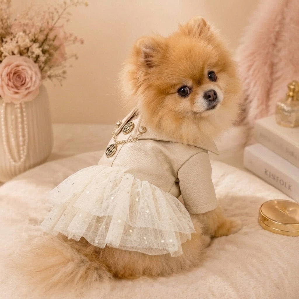 Posh Puppy Rockstar Dress Ivory