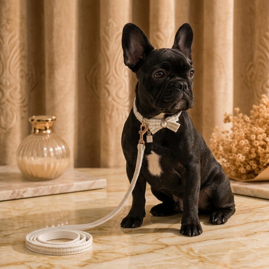 Coco Collar & Leash White