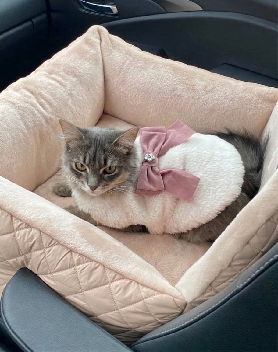 Bella Vest