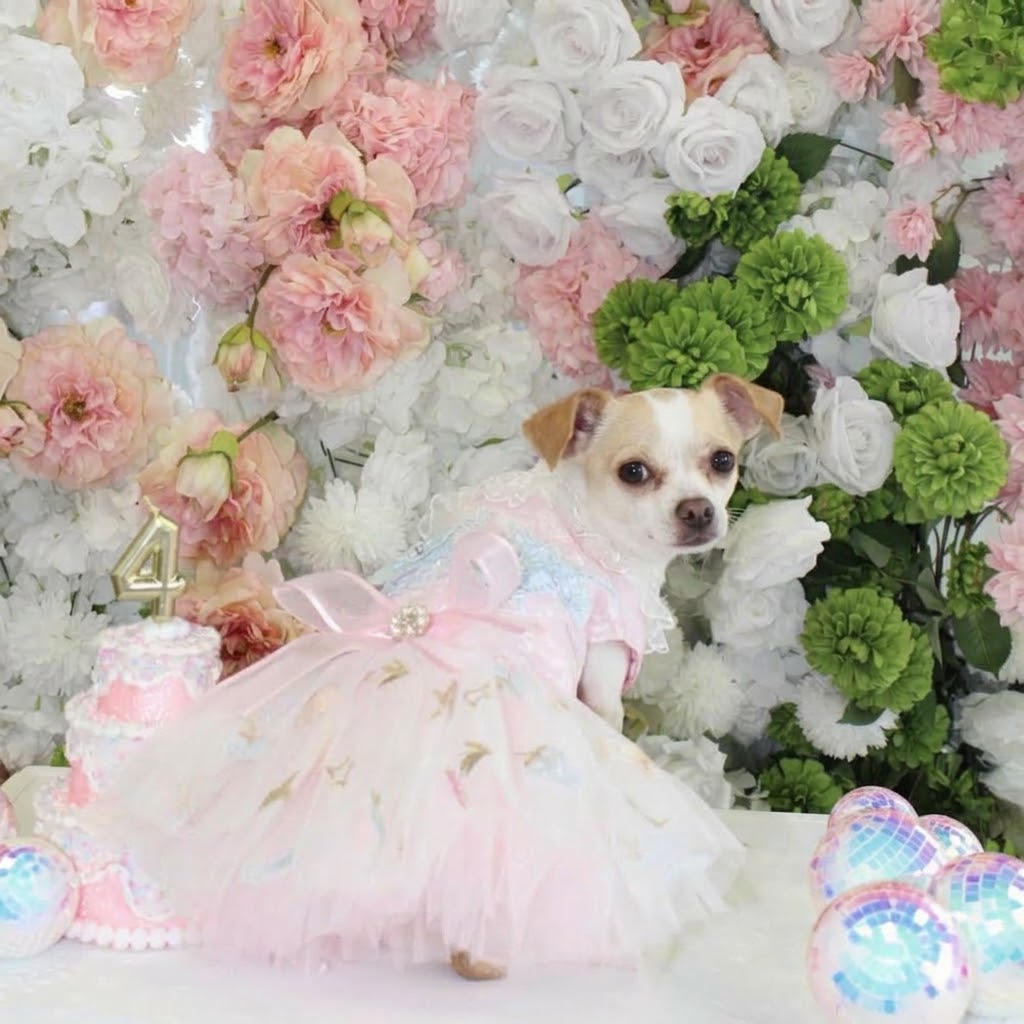 Enchanted Dress Pink