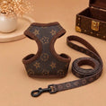 Load image into Gallery viewer, Pawtton Harness and Leash
