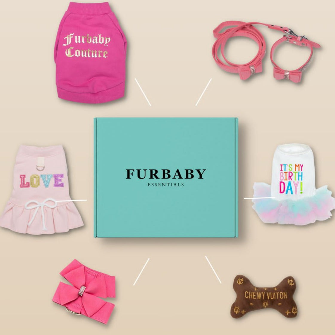 Furbaby Essentials Box