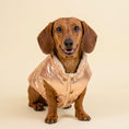 Load image into Gallery viewer, Aspen Vest
