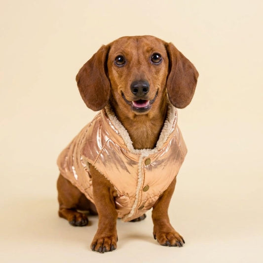 Aspen Vest