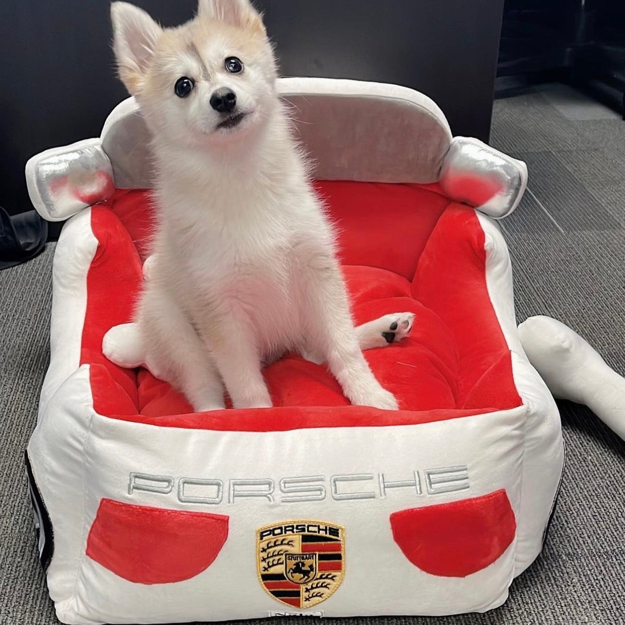 Dog bed shaped like a clearance car