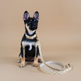 Load image into Gallery viewer, Signature Collar & Leash
