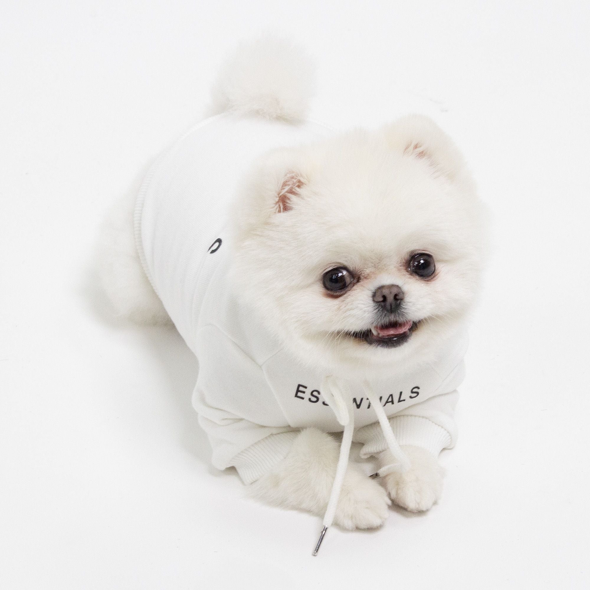 Essentials Hoodie