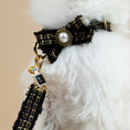 Load image into Gallery viewer, Coco Collar & Leash White
