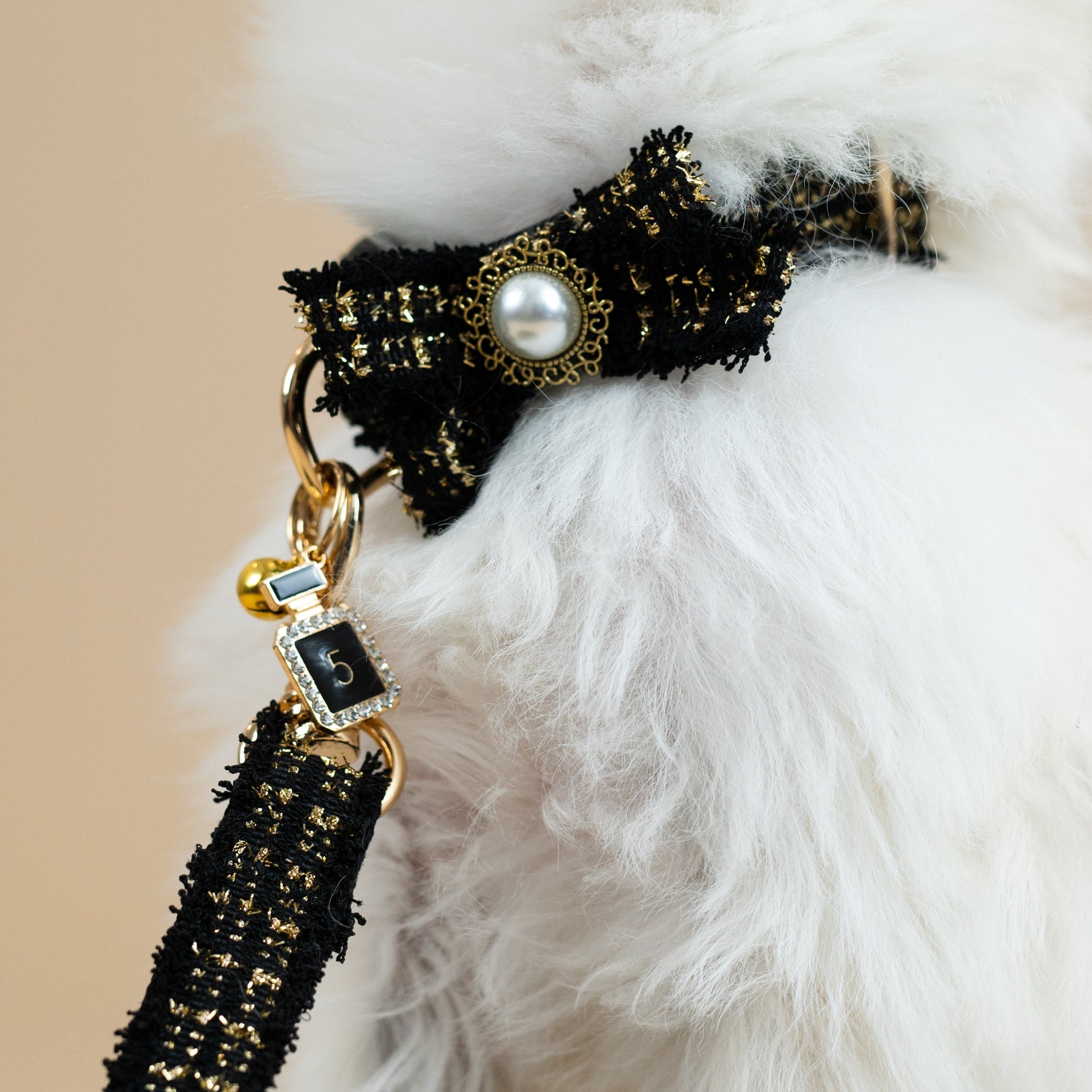 Coco Collar & Leash White