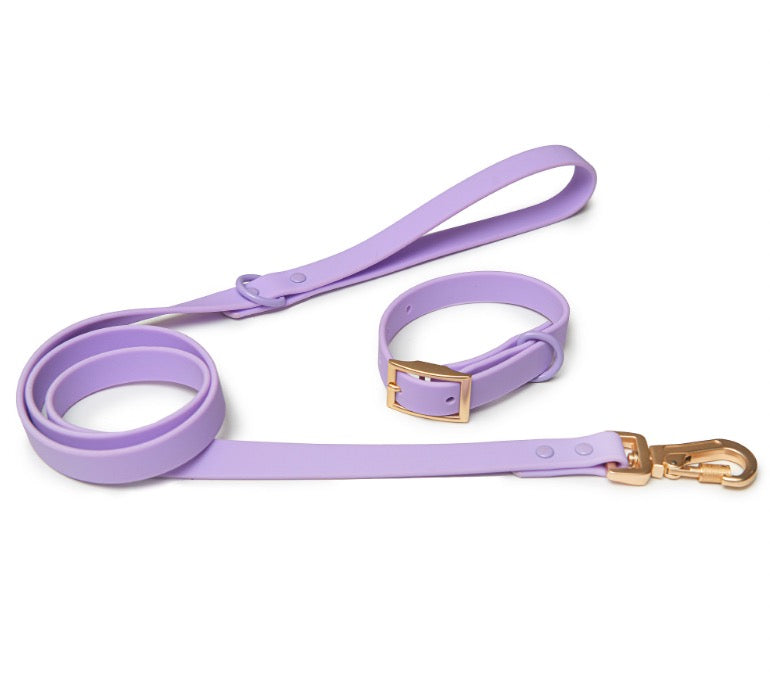 Lavender Collar & Leash