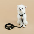 Load image into Gallery viewer, Coco Collar & Leash White
