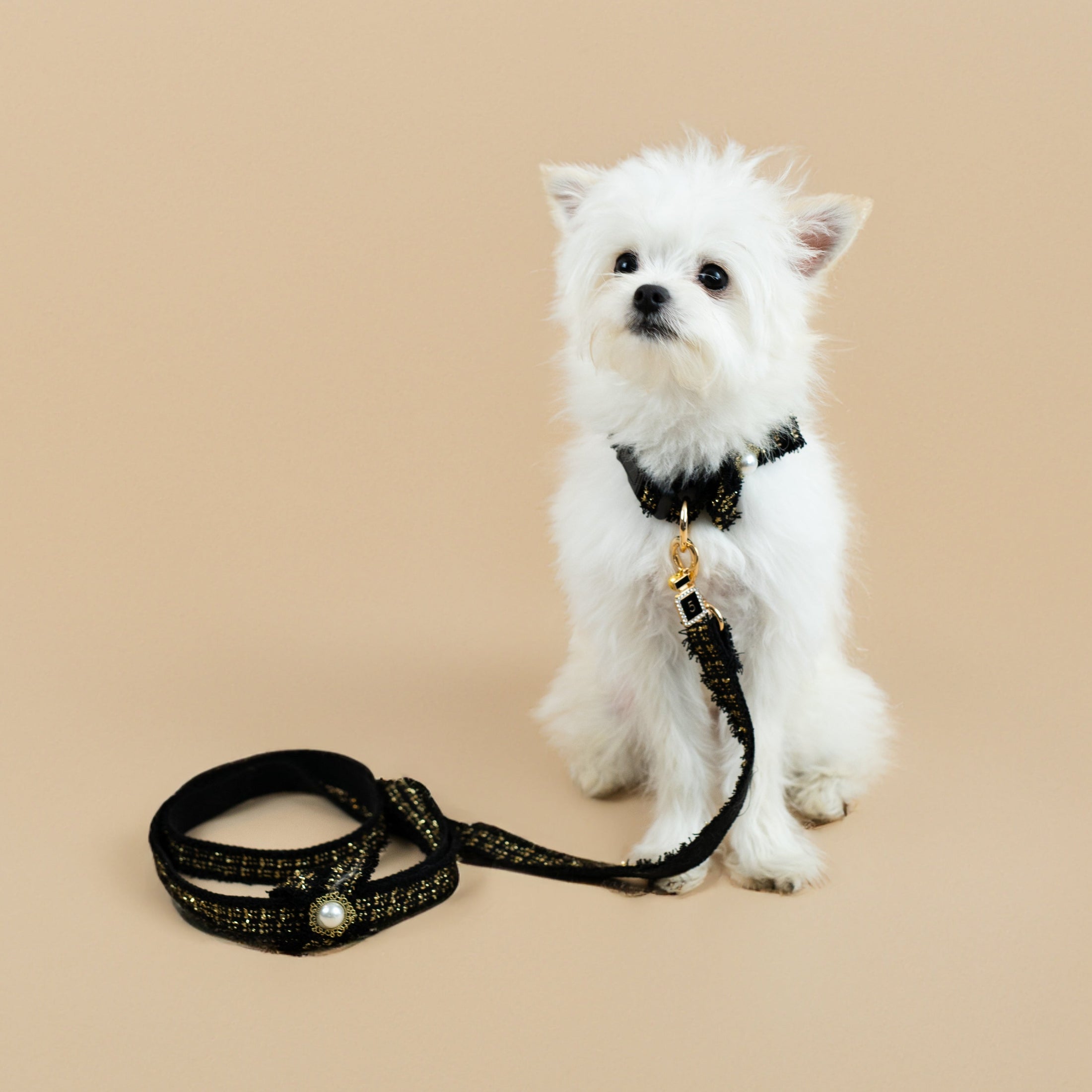 Coco Collar & Leash White